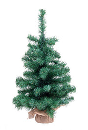 Arbre Innsbruck H60 6x