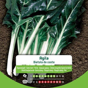 Graines de bette à carde Agila