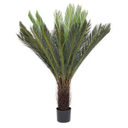 Plante avec du pot Palm Cycas 28 feuilles 120h cm