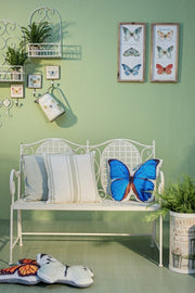 4x P. Fiore Parete Emily Rett S