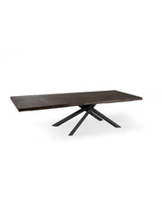 Table extensible 200-300 x 100 cm - Spike