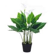 Plante calla pour décoration avec pot 68h cm