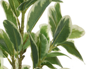 Plante en plastique avec pot 25x25x35h cm