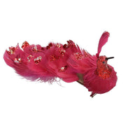 Paon plume rouge avec clip cm30x5h11