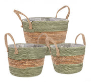 4x Set3 Path 2M Alyce To Verde-Naturel