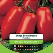 Graines de tomates longues San Marzano dans une enveloppe