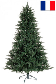 Arbre Frejus Fr H210-2229Rami