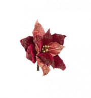 4x Poinsettia Rosso S pour les Fêtes