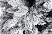 Sapin Frejus Enneigé H270-3764 Branches