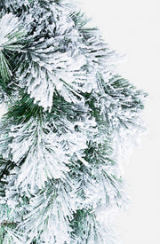 6x Couronne Cermis Innevato D60