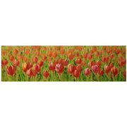 Tableau rectangulaire peint fleurs rouges cm50x150x3