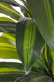 2x Dracena Plante C-Vase 43 Feuilles H88Cm