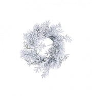 6x Couronne Salzbourg Enneigée D40