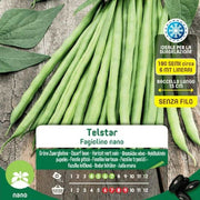 Graines de Haricots Verts Nains Telstar Maxi Bag
