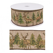 Ruban Alpin Renne 6x20M