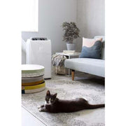 Climatiseur - déshumidificateur portable P522