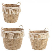 2x Ensemble 3 Cesta 2M Alma Svas