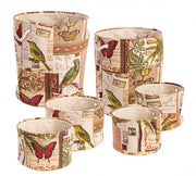 2x Set6 P.Objects Botanic To Red