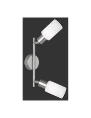 Plafonnier Nickel 2 Spot Abat-Jour Ajustable en Verre Mars Trio Lighting
