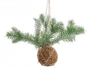 Décoration Sphère Kokedama C 6x