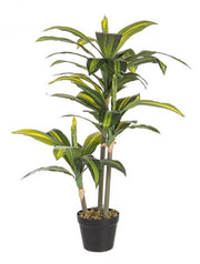 2x Dracena Plante C-Vase 43 Feuilles H88Cm