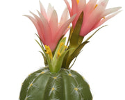 Cactus avec pot 7,5x7,5x24h cm