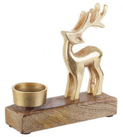 8x Bougie 1P Gillian Renna Nat