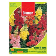 Sachet Avec Mélange De Graines De Muflier Nain