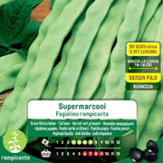 Supermarconi Graines De Haricots Grimpants En Maxi Enveloppe