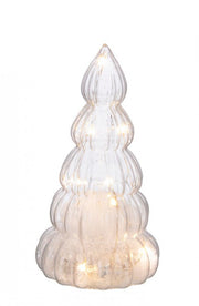 6x Pino Vt Sliver Transparent S C