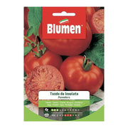 Graines de tomates rondes de salade dans une enveloppe