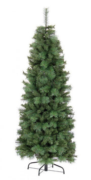 Sapin Slim Alleghe H210-803Rami