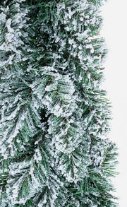 6x Couronne Innsbruck Innevato D45