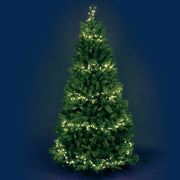 MiniCluster 1000 LED blanc chaud 20,5m