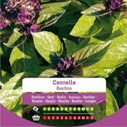 Graines de basilic cannelle en sac