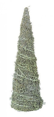 4x Cono Forest Vert H40