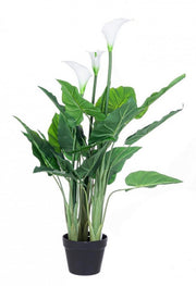 Plante calla avec pot 27 feuilles h100