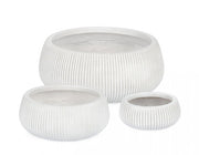 Set3 P.Vaso Ribbed Bomb Blanc Bas