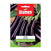 Graines d'aubergine longues en enveloppe