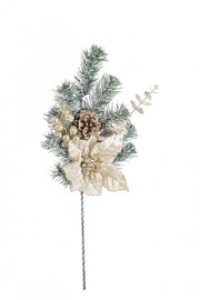 12x choix direct Poornia Champagne H 50 cm