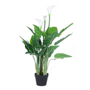 Plante calla avec pot 27 feuilles h100