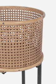 Set 2 plantes de plantes de style de luxe Elton