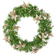 Corona Bethany Champagne D40 6x