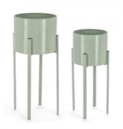 Set2 P.Fiore Ester To Verde Salvia