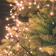 Chaîne Tradition led 1100 MiniLED 11.5m