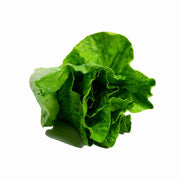 Décoration végétale artificielle laituecm15x9h9