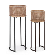 Set 2 plantes de plantes de style de luxe Elton