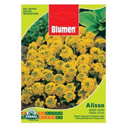 Sachet Aux Graines D\'Alisso Jaune Nain Cesta D\'Oro