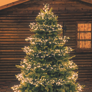 Chaîne Tradition led 1100 MiniLED 11.5m