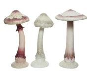 BATTERIE CHAMPIGNON PLS ASS